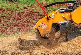 Best Lawn Mowing  in North Beach Haven, NJ